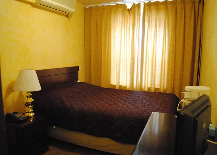 Hotel Chinatown 2*